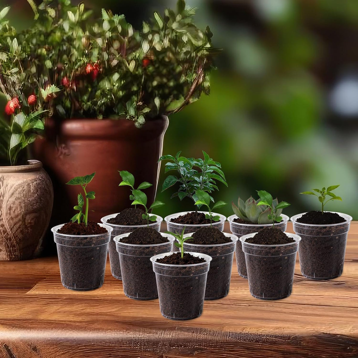 120 Pcs 2 Inch Clear Nurery Pots, Seedling Pots with Drainage Holes