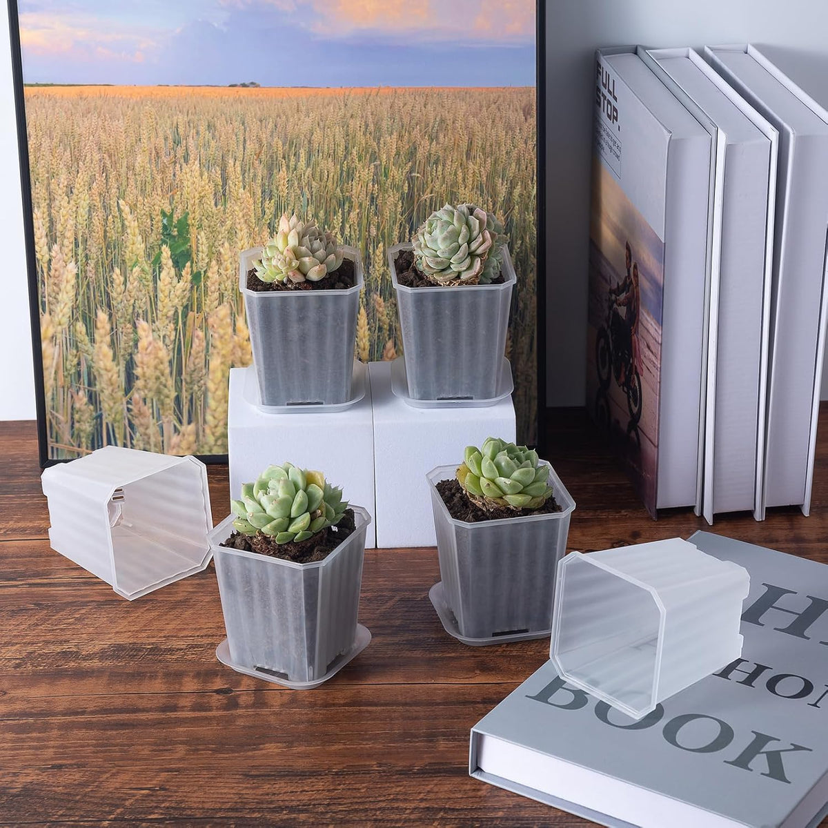 30Pcs 3 Inch Clear Nursery Pots with Saucers, Square Plastic Plant Pot