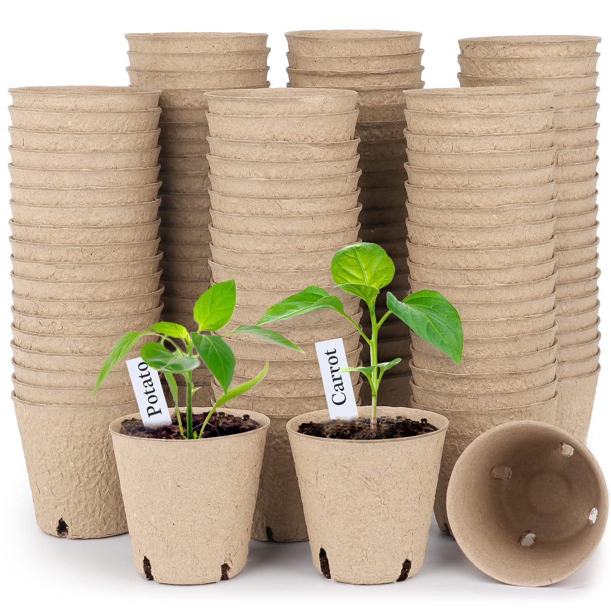 homenote 60 Pcs 4 Inch Peat Pots,Nursery Plant Pots,Seed Starting Pots