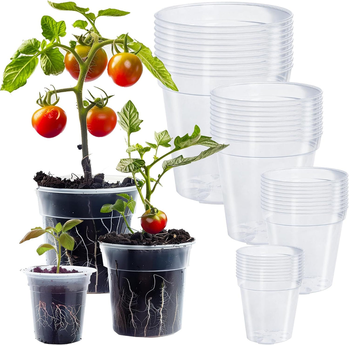 Hourleey 36 Pack 4/5/6/7 Inch Clear Nursery Pots for Plants, Plant Pots with Drainage Holes, Transparent Seedling Pots for Seed Starters Planter Flower