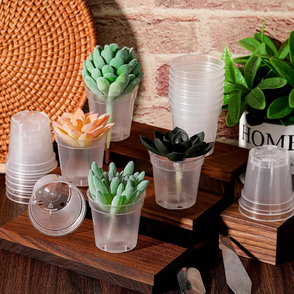 Yaomiao 200 Pcs 2 Inch Clear Mini Nursery Pots with Drainage Holes