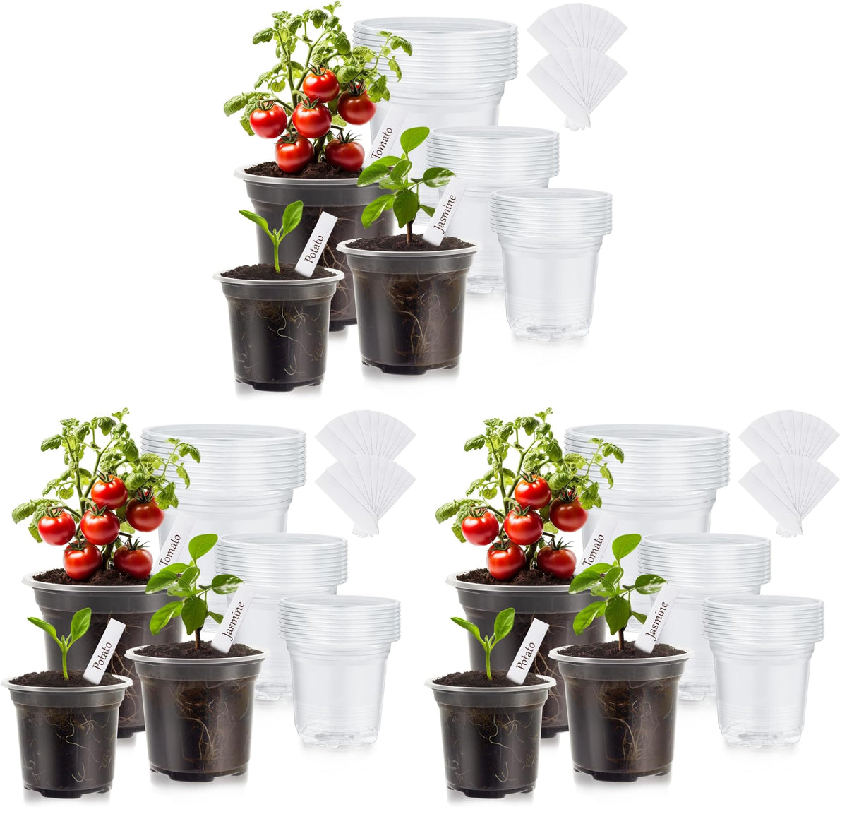 30 Pack Clear Nursery Plant Pots, 4 Inch with Drainage Holes, 20 Labels