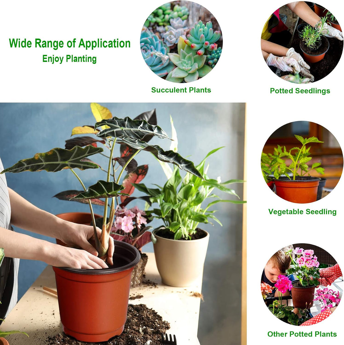 Augshy 110 Pcs 6 Inches Plastic Plants Nursery Pot, Seed Starting Pots
