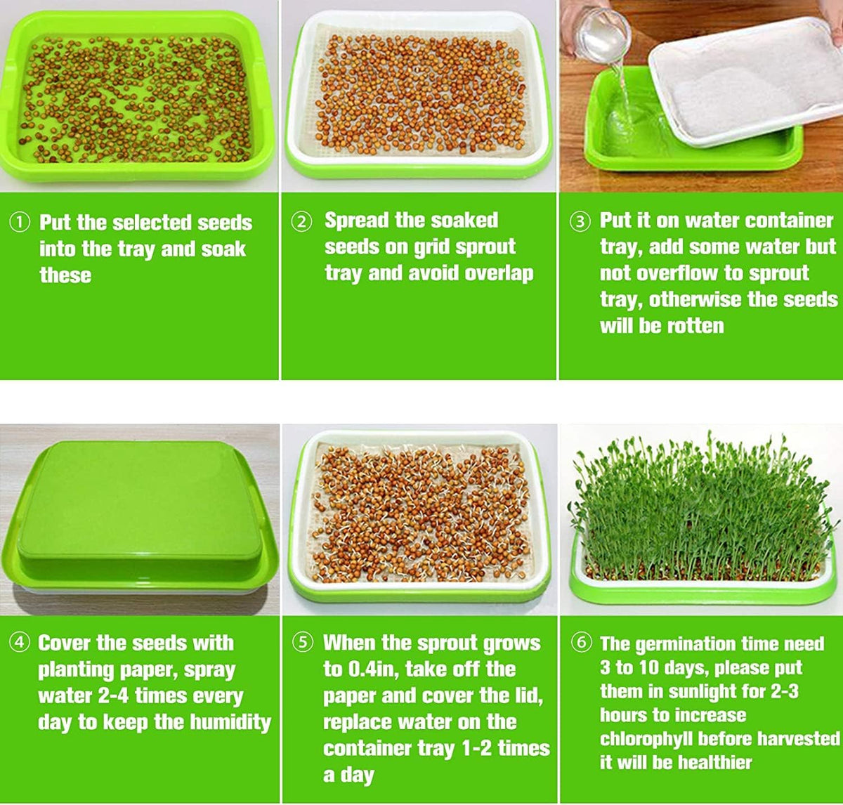 Legigo 5 Pack Seed Sprouter Trays with Lids, Microgreens Growing Trays Kit