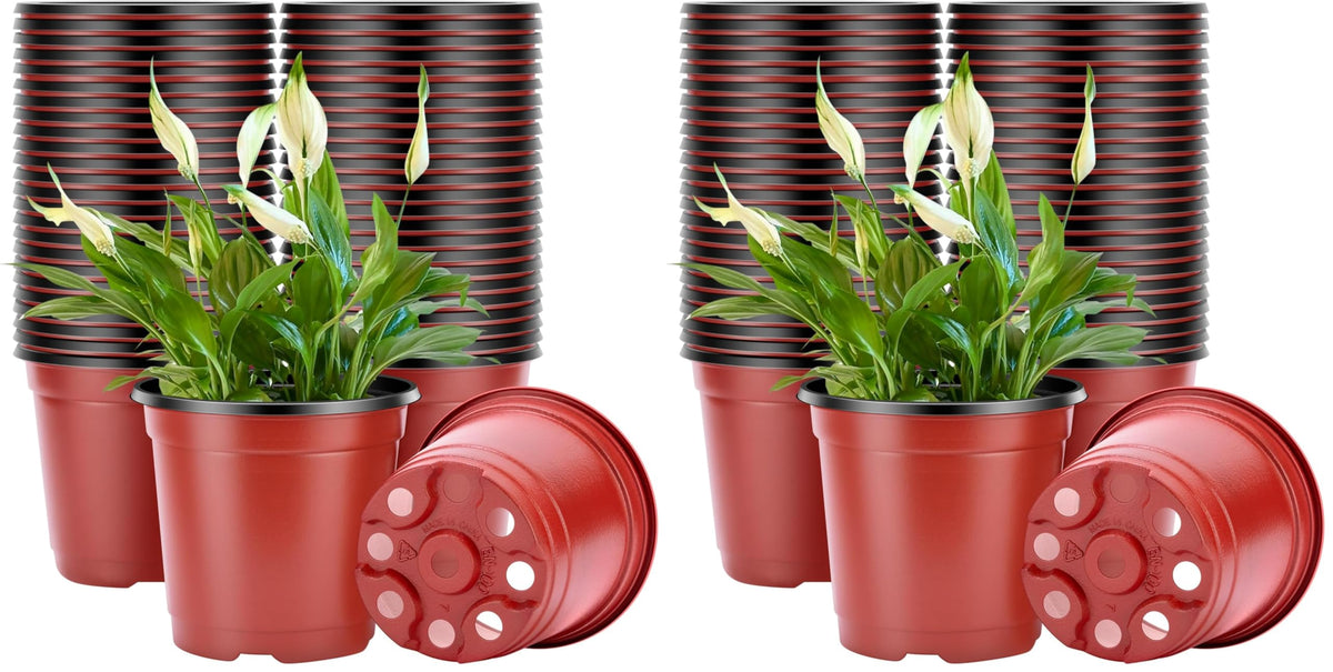 VIVOSUN 50 Pcs 6 in Plastic Plant Nursery Pots, Seed Starting Pots