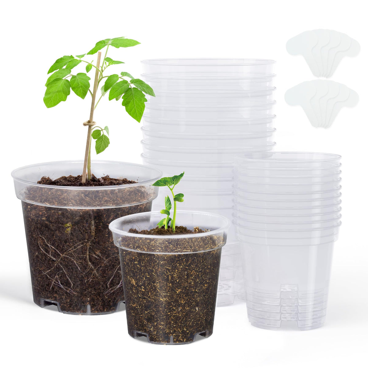 homenote 3/4/5 Inch Clear Nursery Pots with Drainage and 20 Labels (30 Pcs)