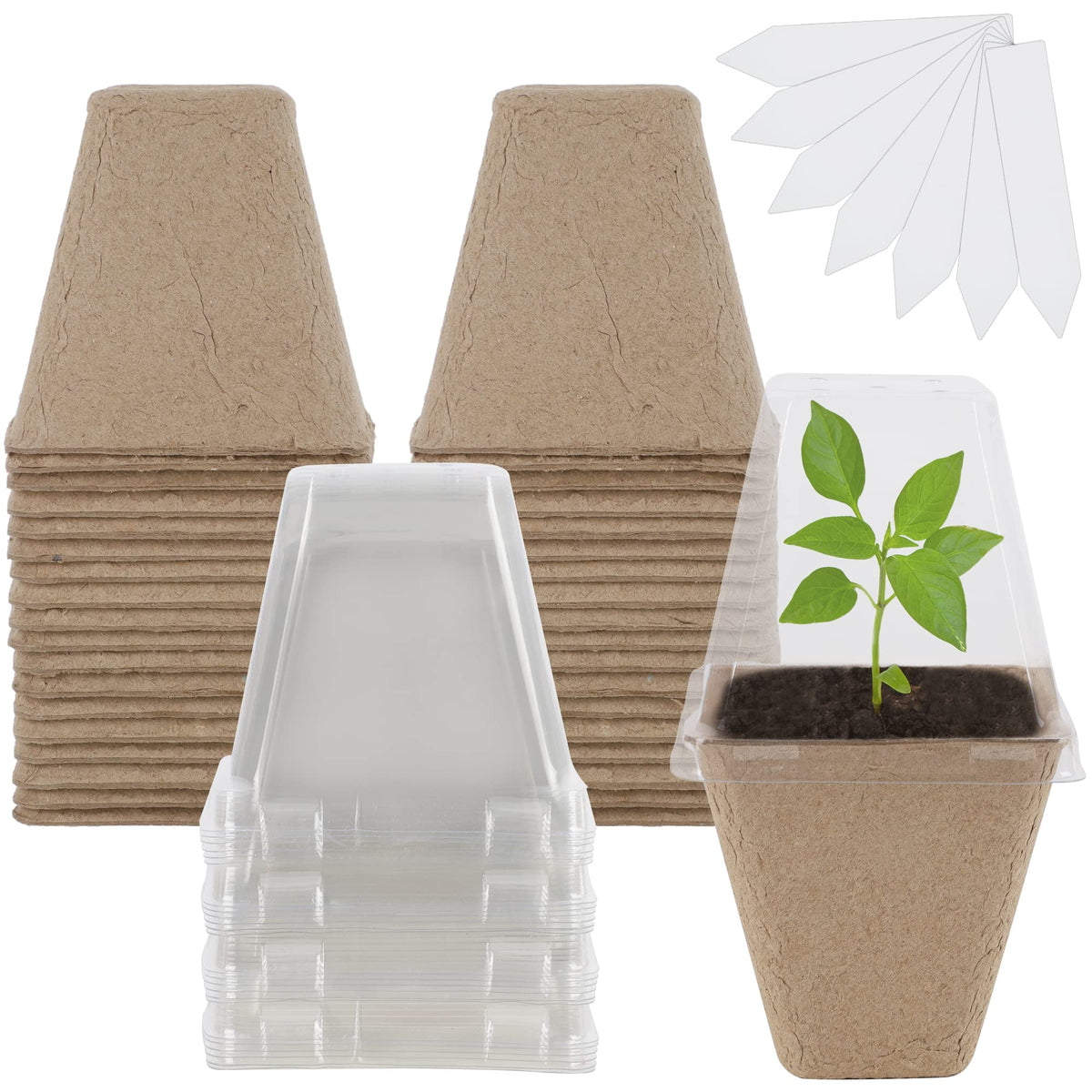 winemana 36 Set Nursery Pots with Humidity Dome, Clear Nursery Pots for Plants, Seed Starting Pots with Drainage Holes & Plant Labels for Vegetables Flowers Garden Plants