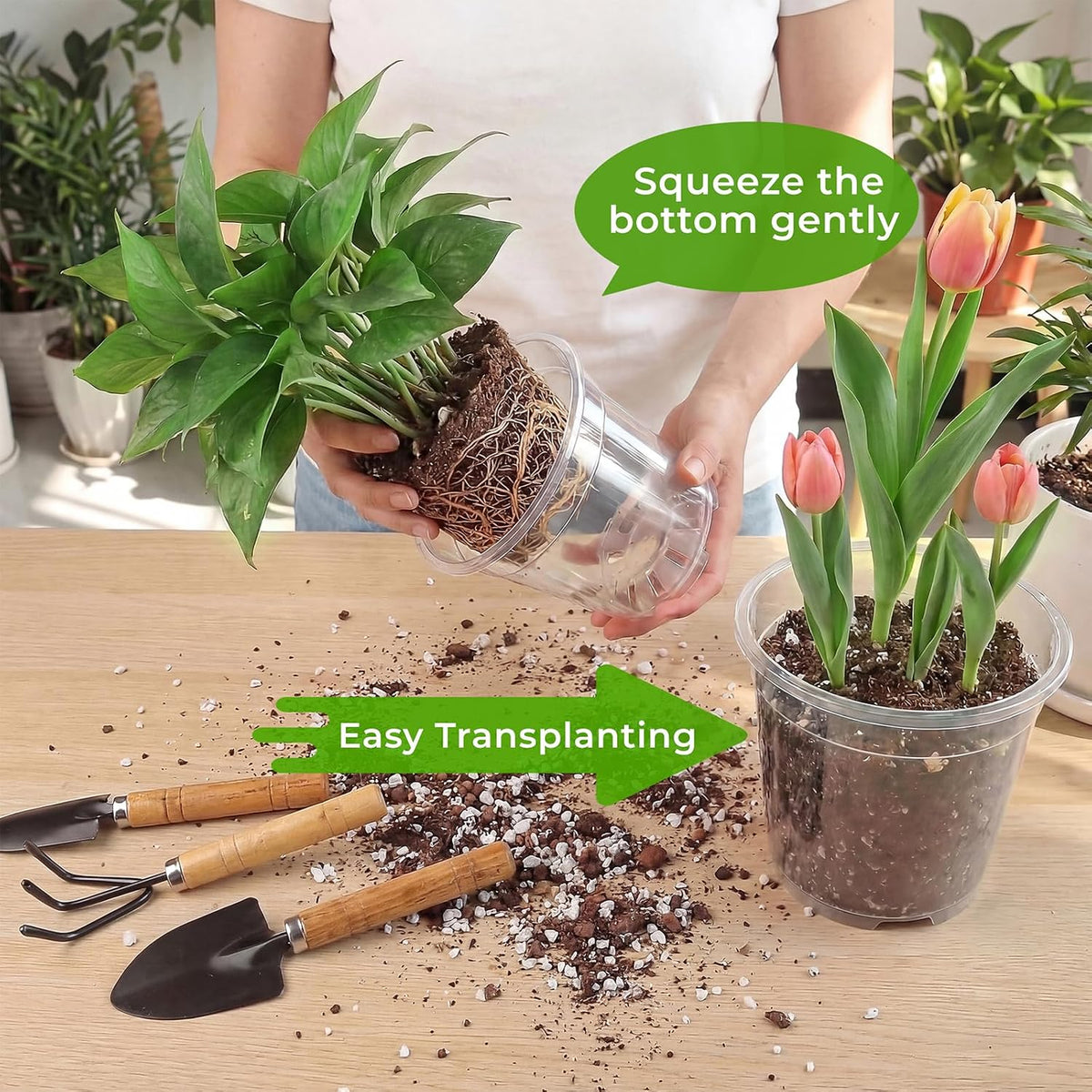 8 Pack Clear Nursery Pots with Drainage Holes, 5/6/6.7/7.5 Inch