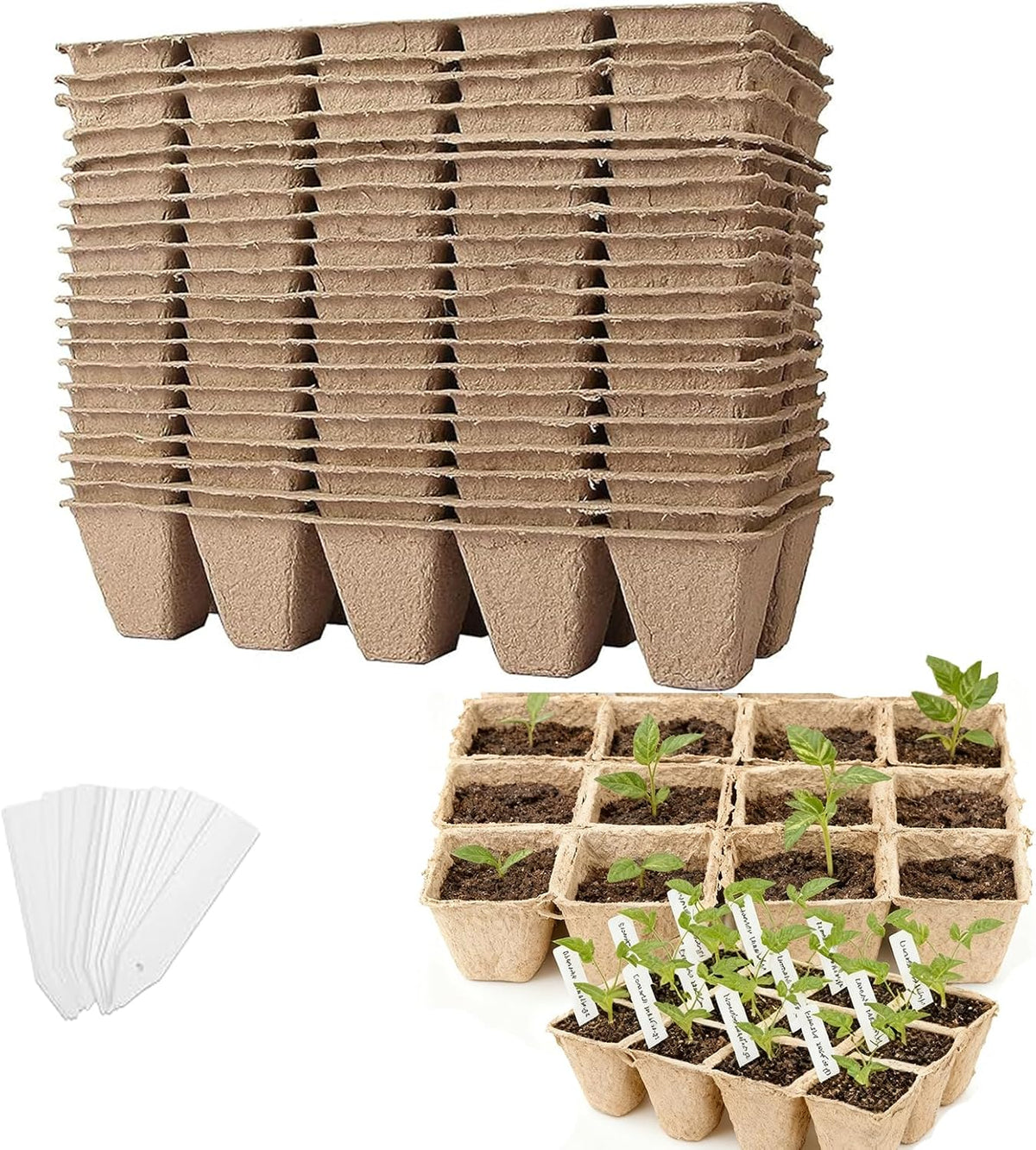 KEILEOHO 200 Cells Seed Starter Tray with 200 Labels, 20 Pack