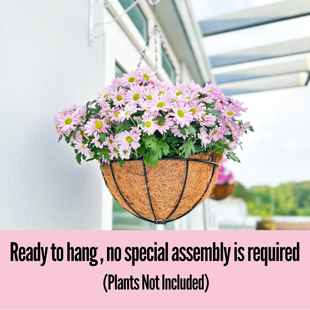 LaLaGreen Round Hanging Baskets (10 in, 2 Pack) Black Metal Coco Liner Pots