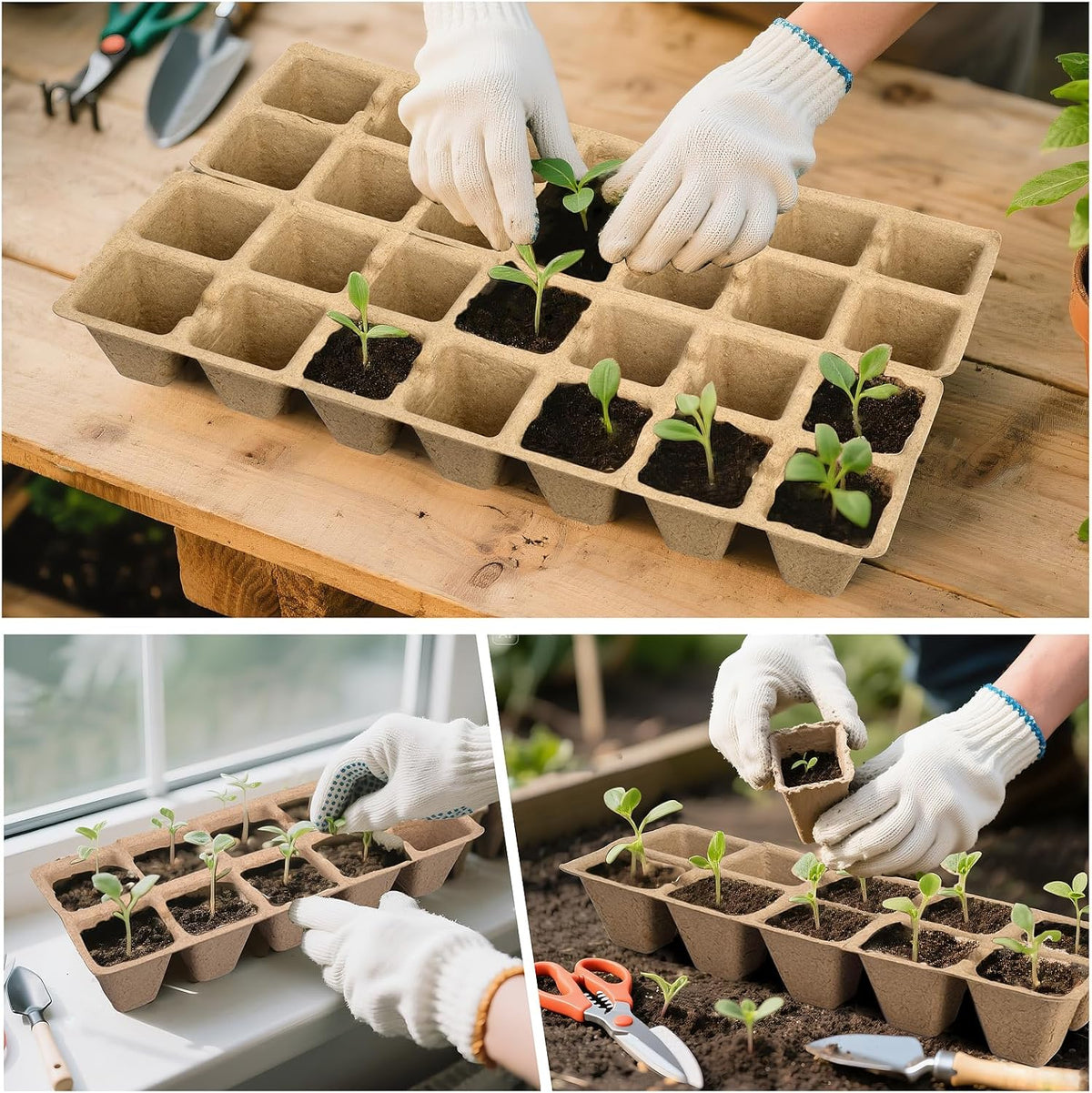 300 Cells Peat Pots, Seed Starter Trays Planting Trays for Seedlings