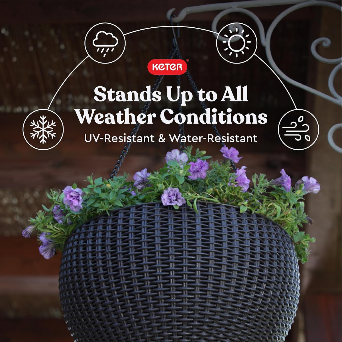Keter Resin Rattan Set of 2 Round Hanging Planter Baskets for Indoor and Outdoor Plants-Perfect for Porches and Patio Decor, Graphite