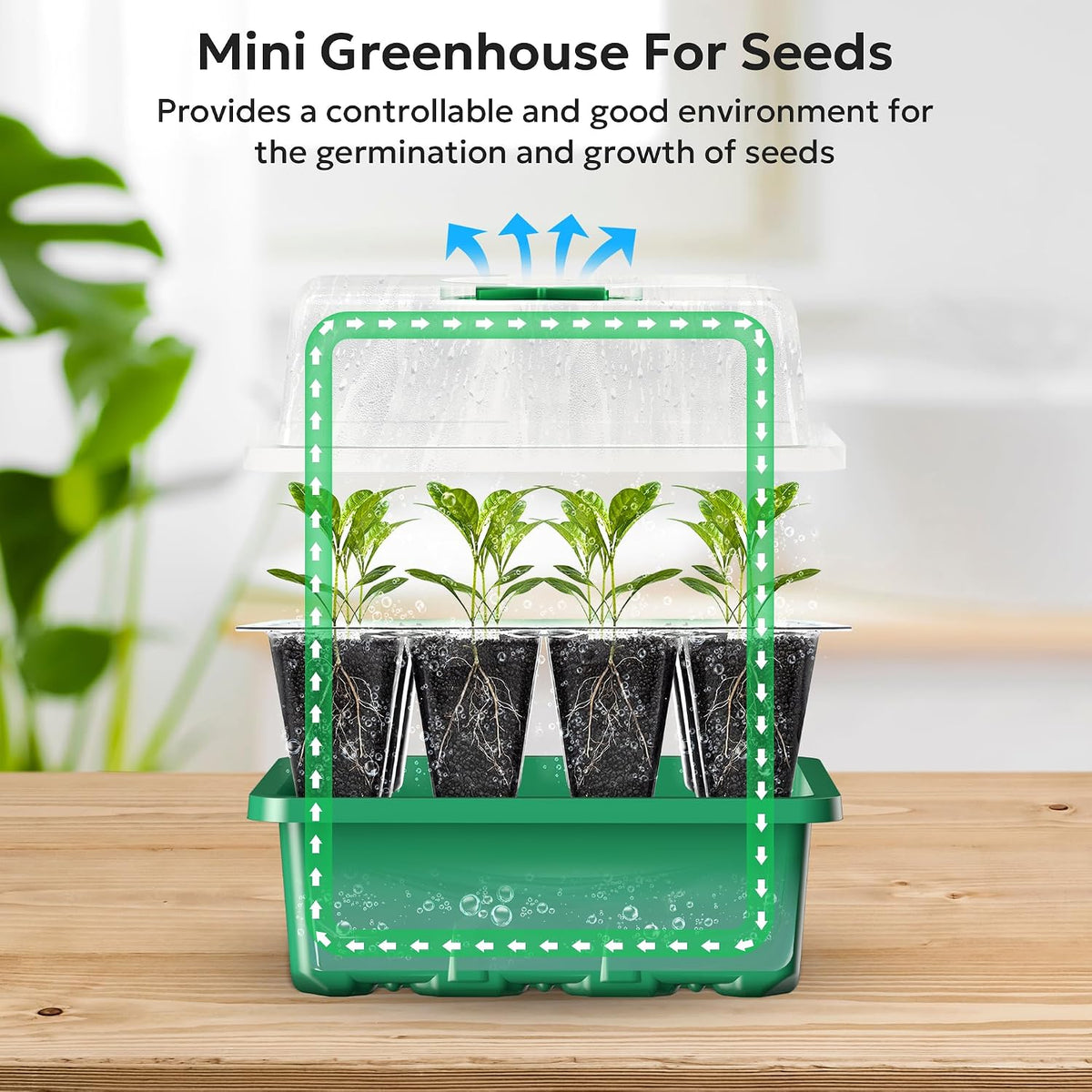 MIXC 10 Pack Seed Starter Tray, 120Cell Stater Kit with Humidity Dome Green