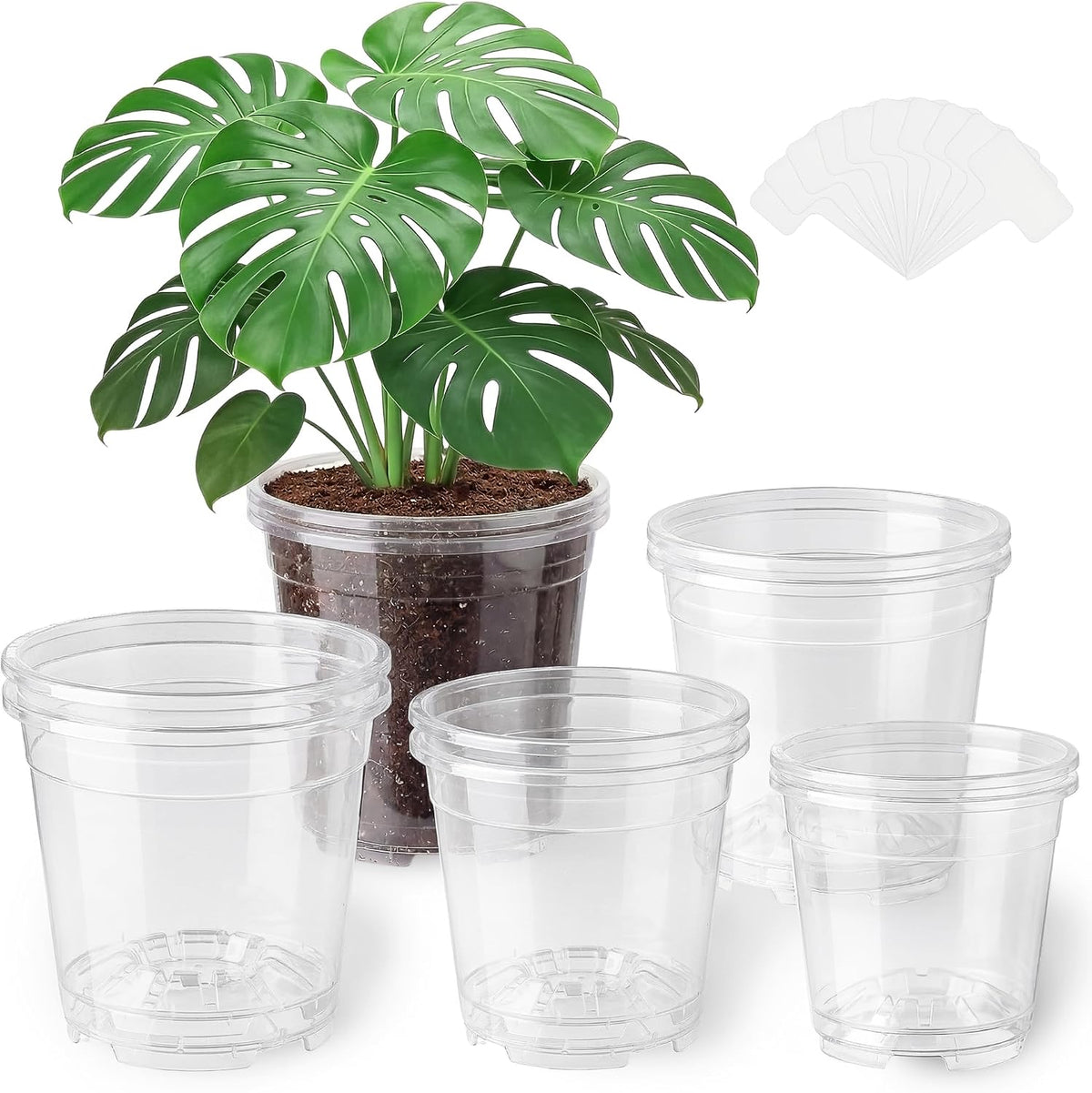 8 Pack Clear Nursery Pots with Drainage Holes, 5/6/6.7/7.5 Inch