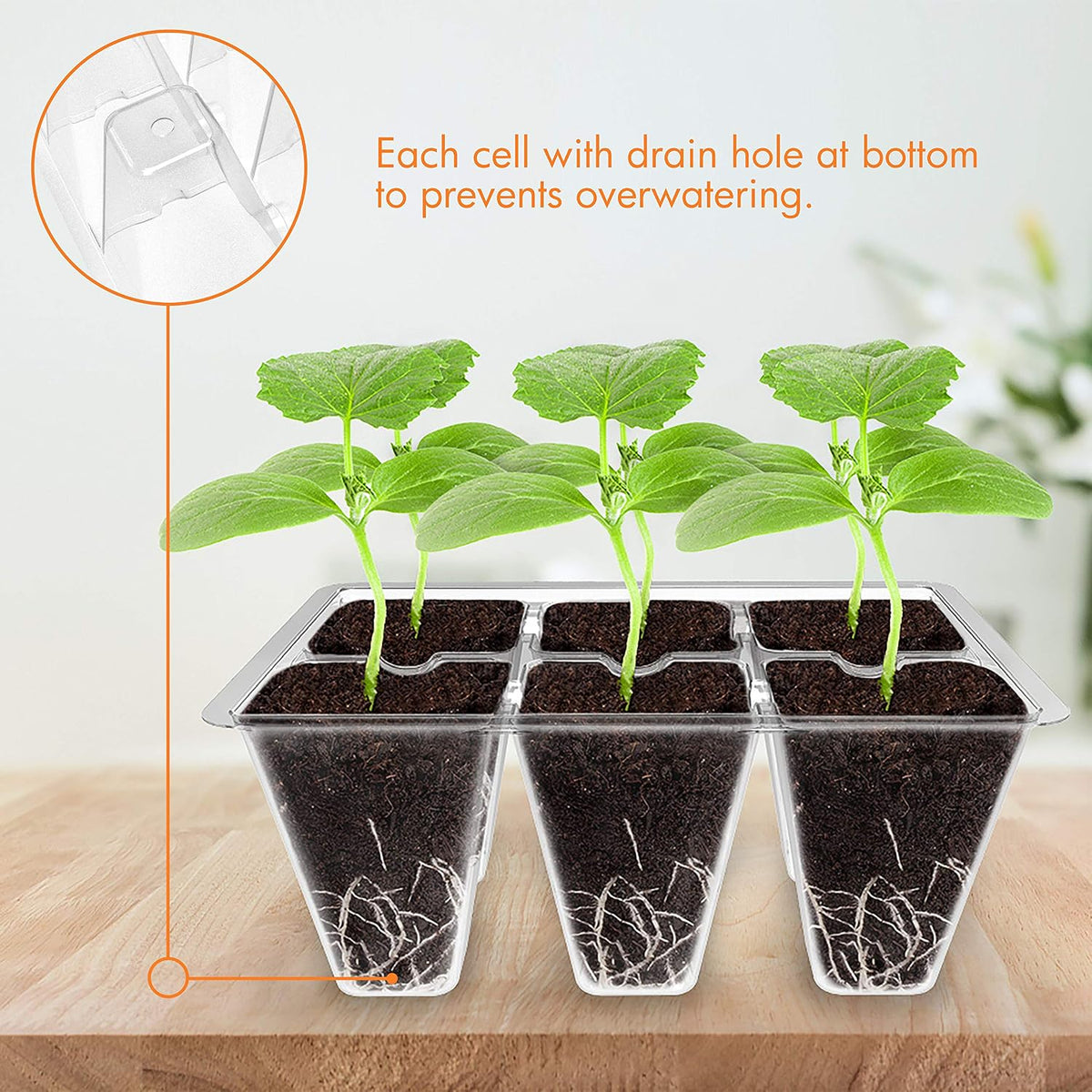 Gardzen 20 Pack Seed Starter Trays with Adjustable Vented Dome 240 Cell Clear