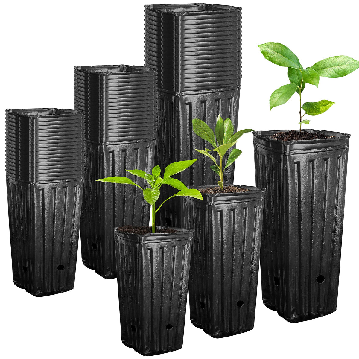 RunNico 50pcs Plastic Deep Plant Nursery Pots, 9.8”Tall Tree Pots,Black Deep Seedling Container Pots with Drainage Holes for Indoor Outdoor Gardening (4.7" Wx9.8 H)