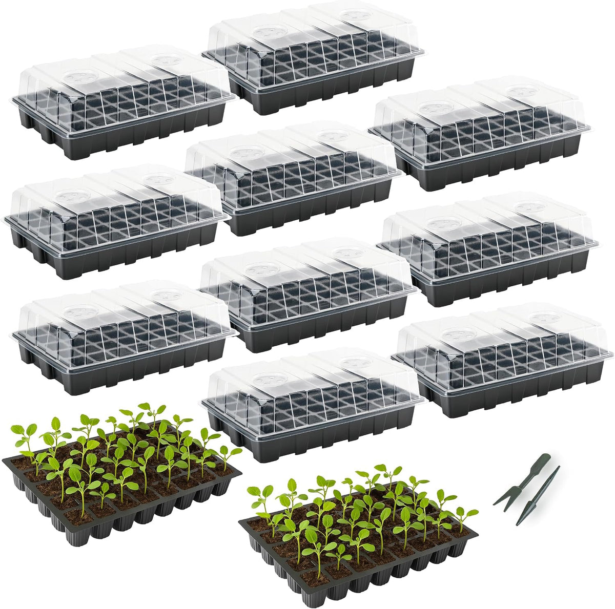 Mr. Pen- Seed Starter Tray Kits, 10 Pack, Total 400 Cells