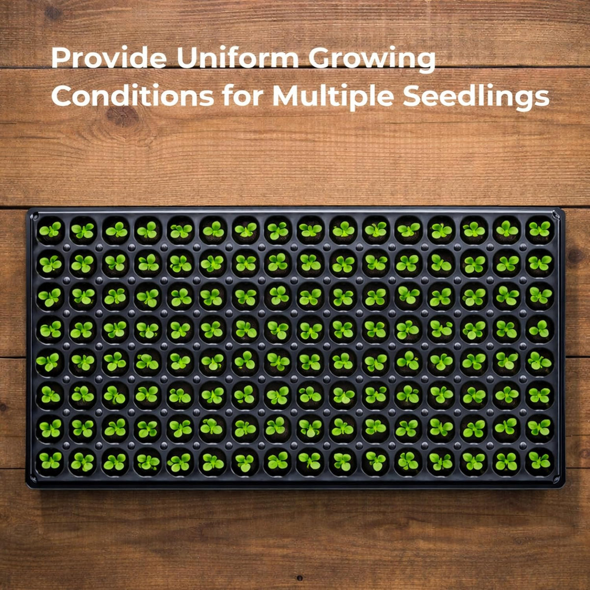 Gardzen 10 Pack 128 Cell Seed Starter Trays