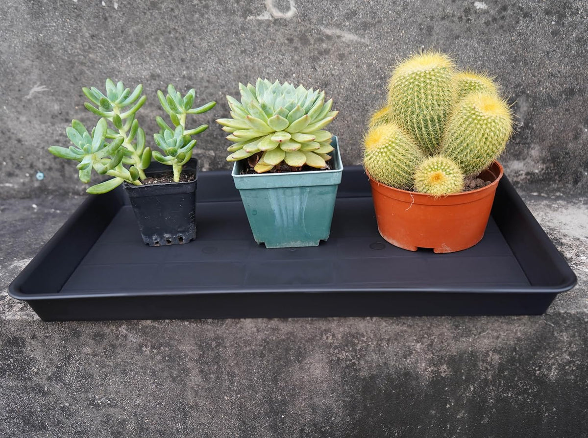 VUWEZ Plant Growing Trays 2 Pack, Plant Tray, 14.5"x11", Heavy Sturdy Plastic Plants Saucer, Seedling Starter Trays, Seed Starter Growing Tray (Black)