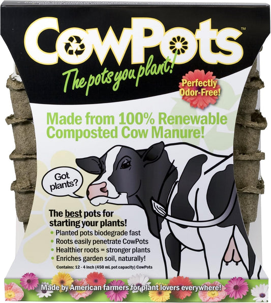 CowPots 102 Square Cowpot, 4", 12-Pack, Brown