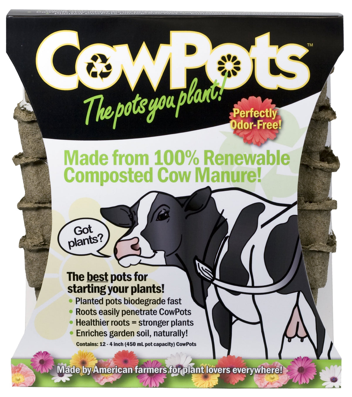 CowPots 102 Square Cowpot, 4", 12-Pack, Brown
