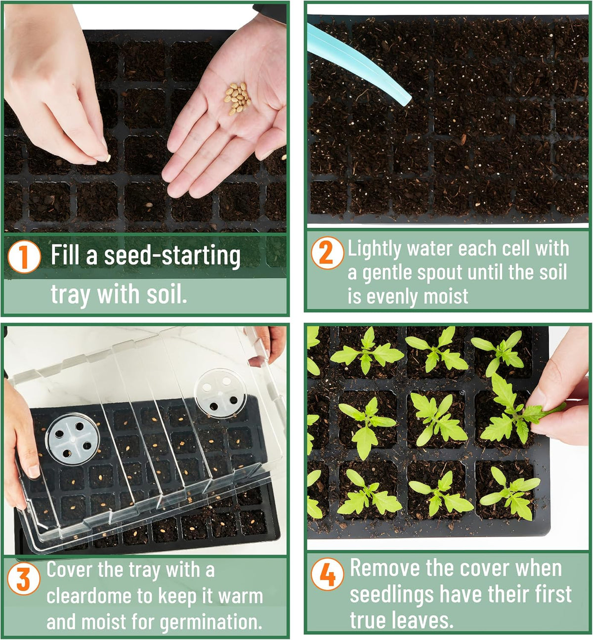 Mr. Pen- Seed Starter Tray Kits, 10 Pack, Total 400 Cells