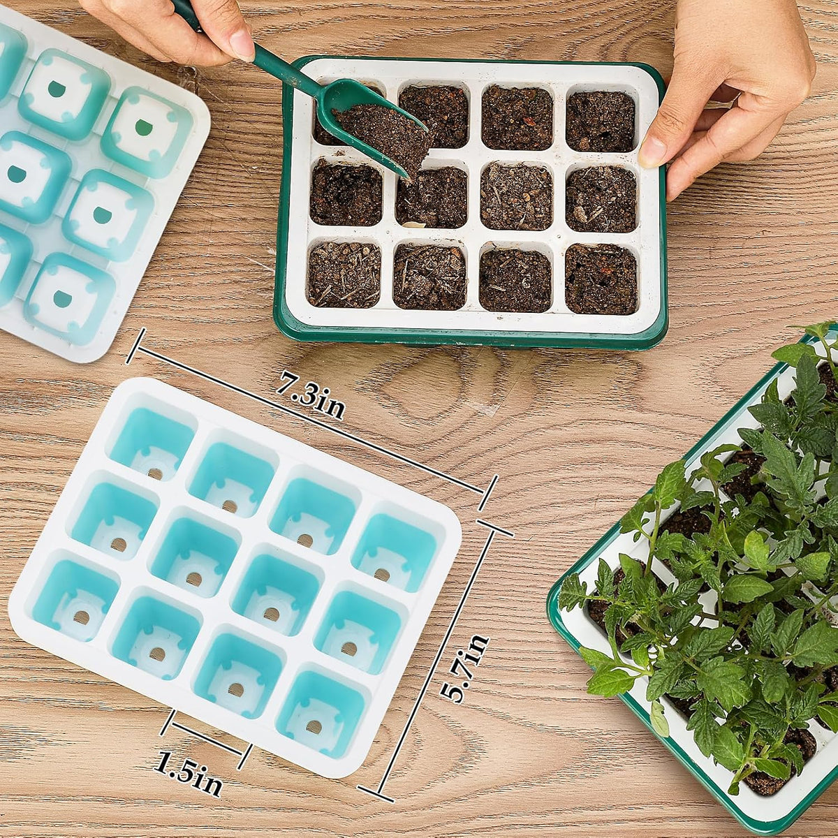 Hanaoyo 12 PCS Reusable Seed Starter Tray, 144 Cells Seed Starter Kit with Flexible Pop-Out Cells, Seedling Starter Trays for Seed Starter, Indoor Greenhouse Seeding Planting Growing