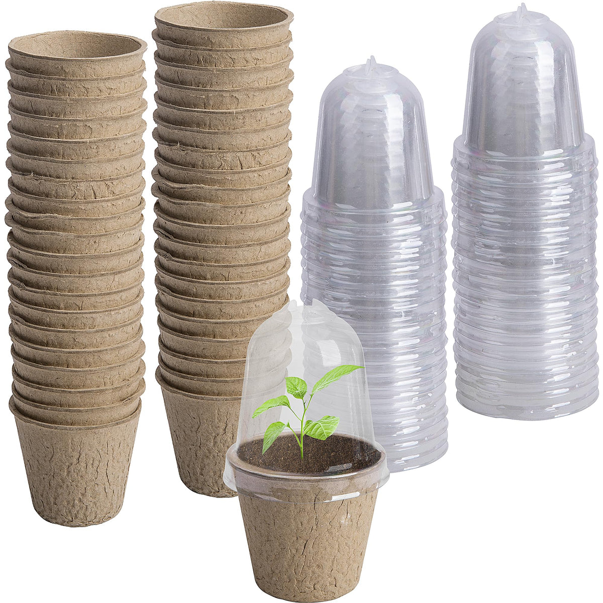 EBaokuup 40pcs Biodegradable Seeding Starter Pots for Planting - 3.1" Plant Nursery Pots with Humidity Dome - Peat Pots for Seedlings Garden Vegetable Flower Germination