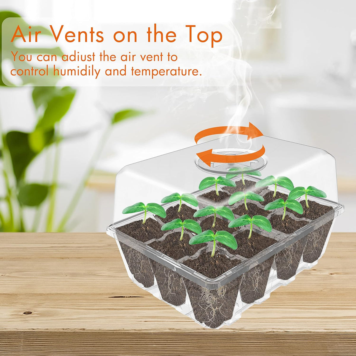 Gardzen 10 Pack Seed Starter Trays with Dome and Clear Base 120 Cell