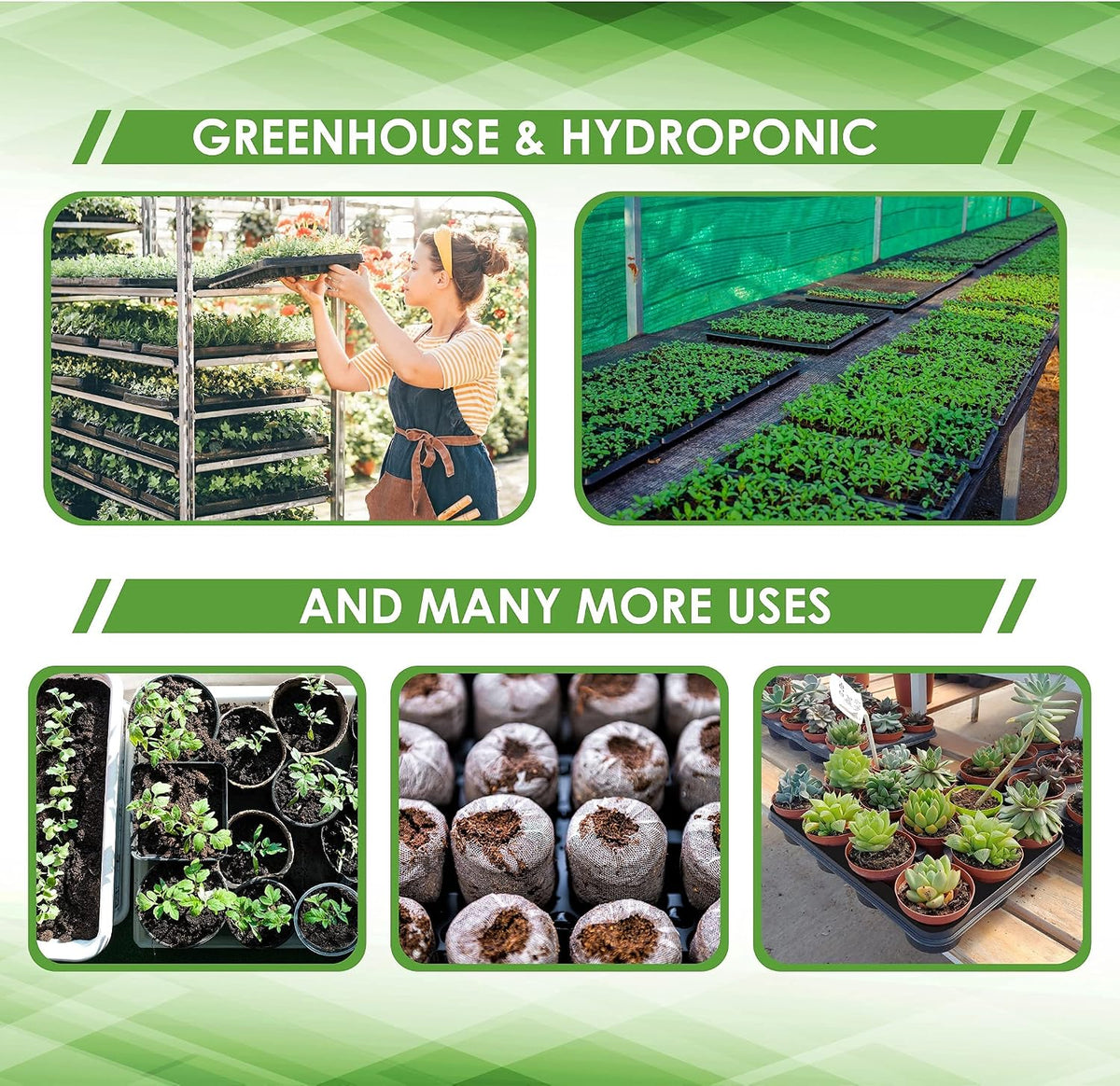 6 Pack Premium Quality Seedling Trays, Microgreens Growing Trays, No Drain Holes, Heavy Duty, Durable Plastic, 1.5mm Thick, Plants Drip Tray, Best for Sprouting Vegetables and Wheatgrass