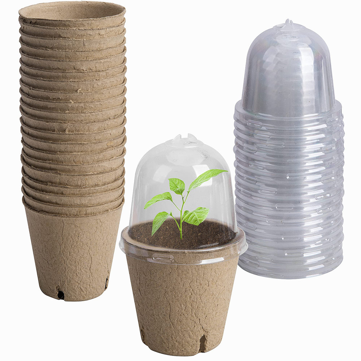 EBaokuup 40pcs Biodegradable Seeding Starter Pots for Planting - 3.1" Plant Nursery Pots with Humidity Dome - Peat Pots for Seedlings Garden Vegetable Flower Germination